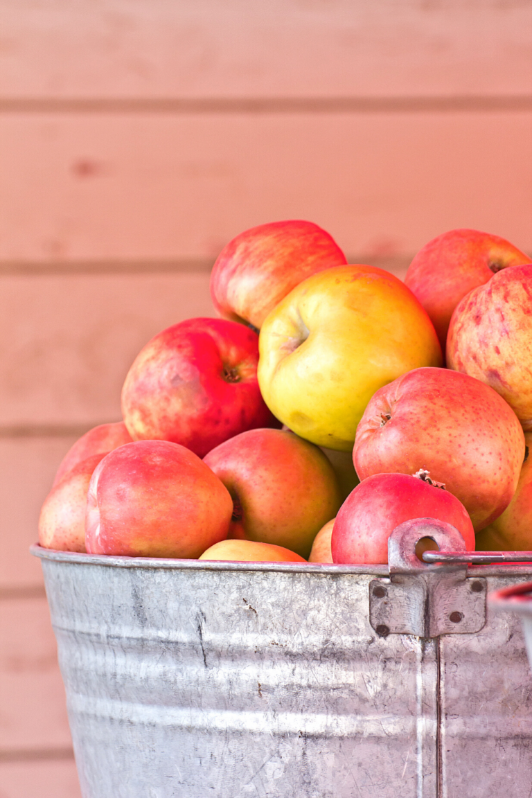 Vegan Apple Pie One of The Best Vegan Pie Recipes You Can Make