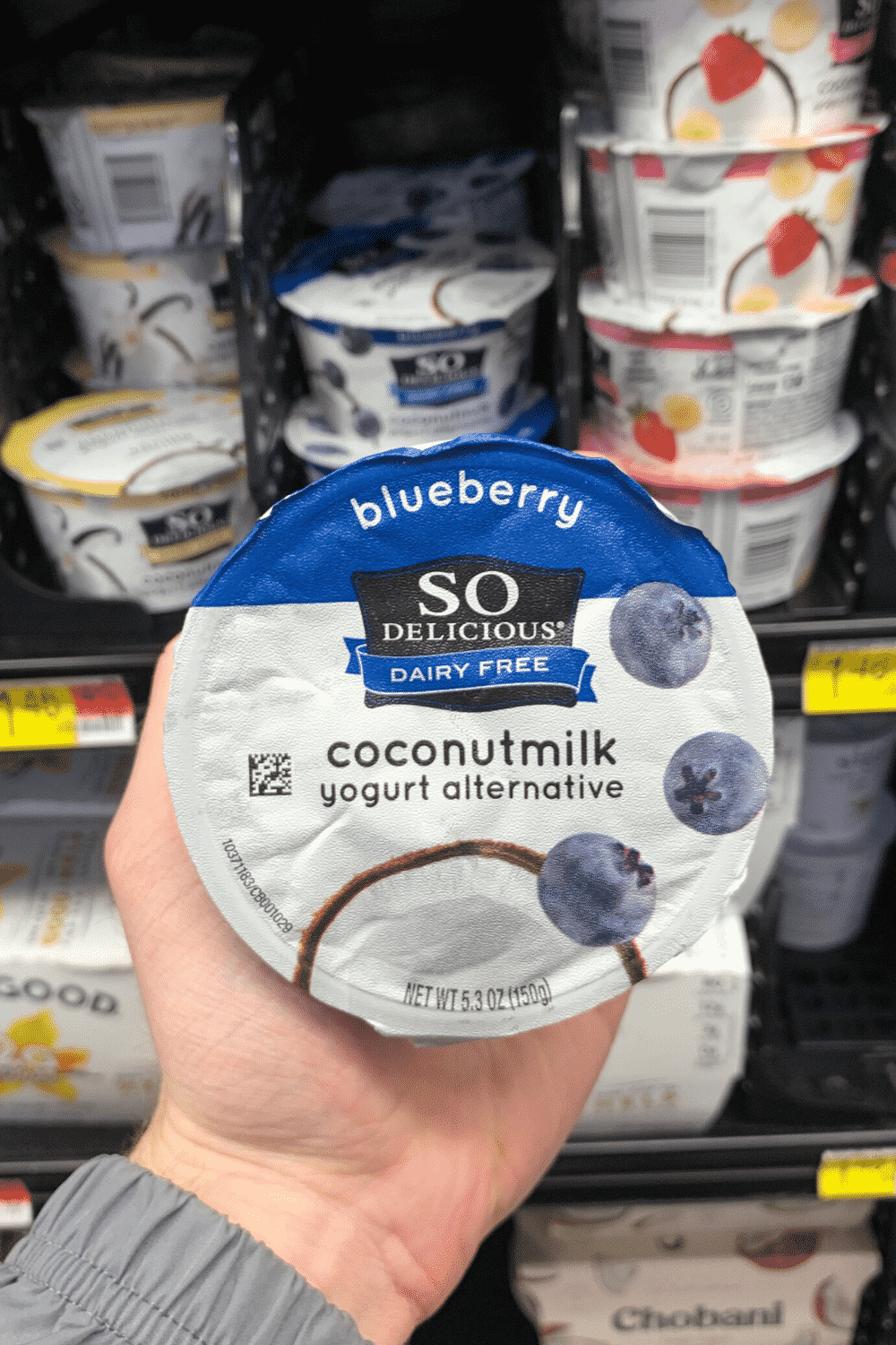 A hand holding so delicious dairy free blueberry coconut milk yogurt alternative.