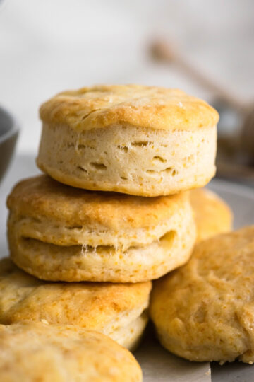 5 Ingredient No Milk Biscuit Recipe (Made In 25 Minutes)