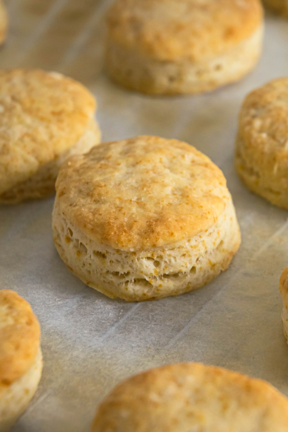 A biscuit surrounded by parts of biscuits on a piece of parchment paper.