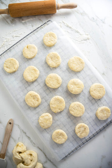 5 Ingredient No Milk Biscuit Recipe (Made In 25 Minutes)