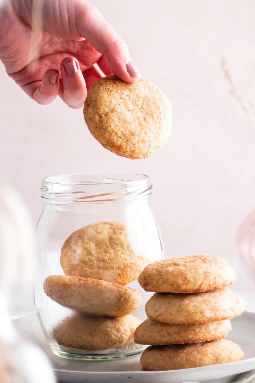 A hand holding a snickerdoodle cookie over a jar that has three more cookies in it and a white plate. Next to the jar is a stack of four snickerdoodle cookies.