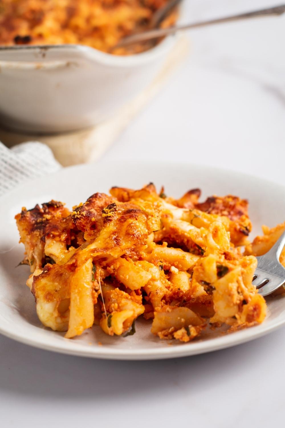 Four cheese pasta on a white plate. Behind it is part of the casserole dish filled with the pasta.