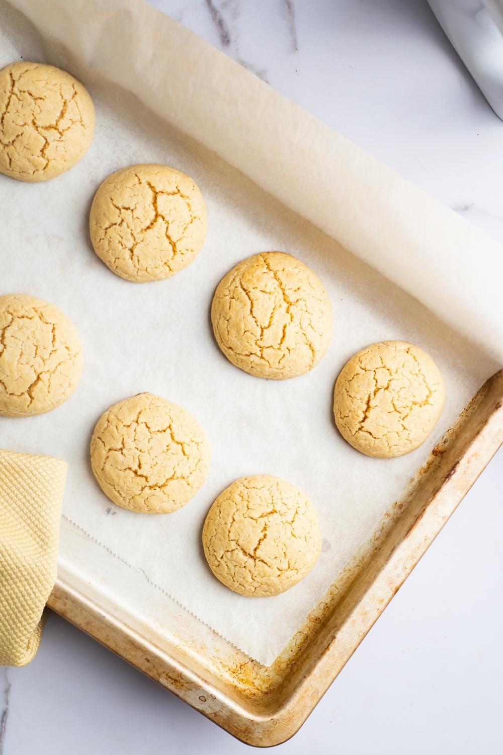 An overhead view of a baking sheet lined with parchment paper there are eight baked sugar cookies on