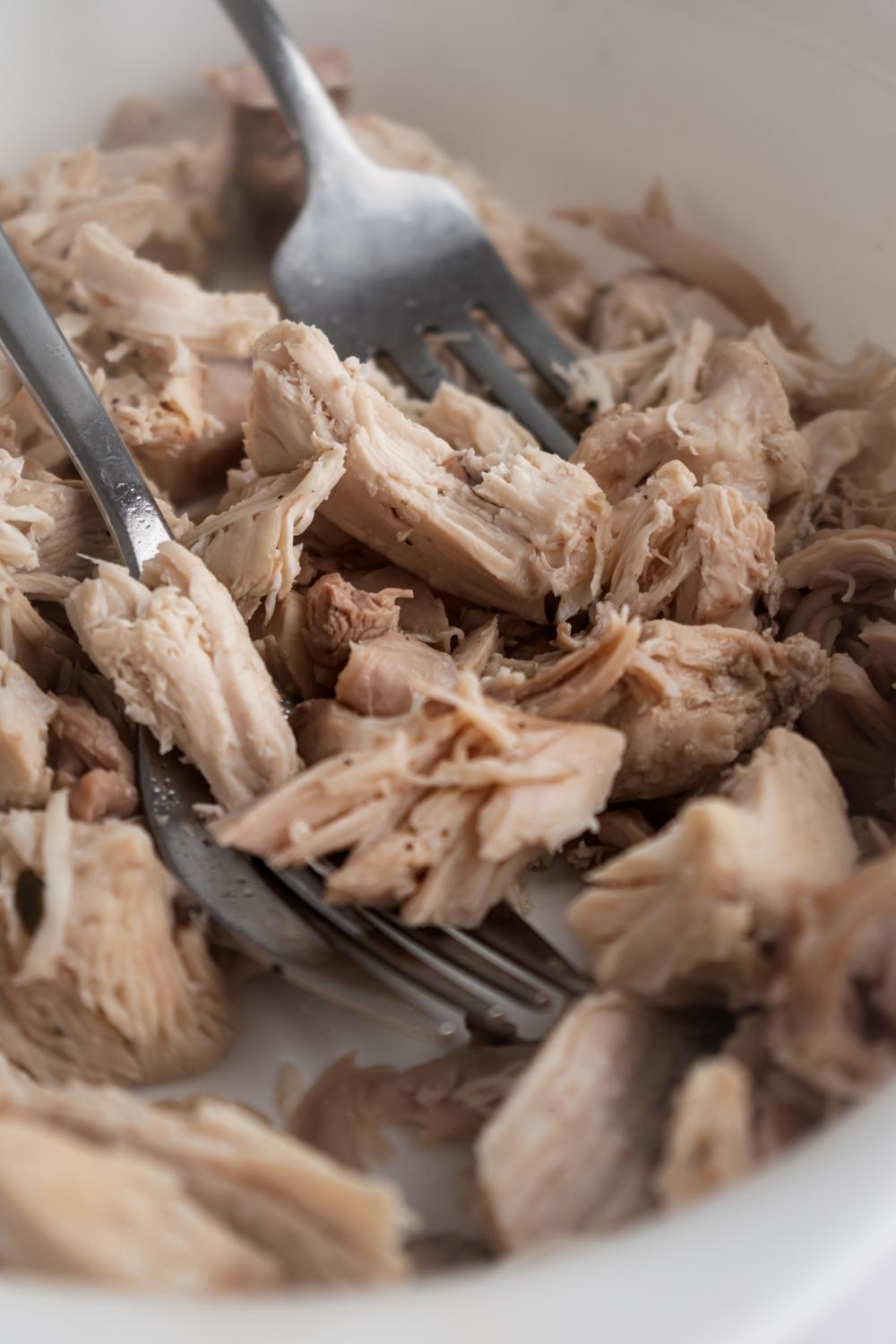 Shredded chicken in a white bowl with two forks.