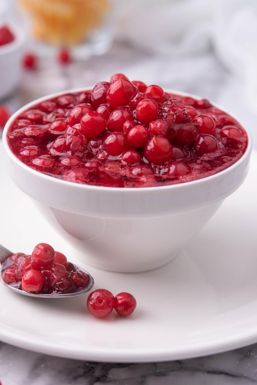 A small serving bowl with cranberry sauce served on a saucer. A heaping spoonful of cranberries sits next to the bowl on the saucer.