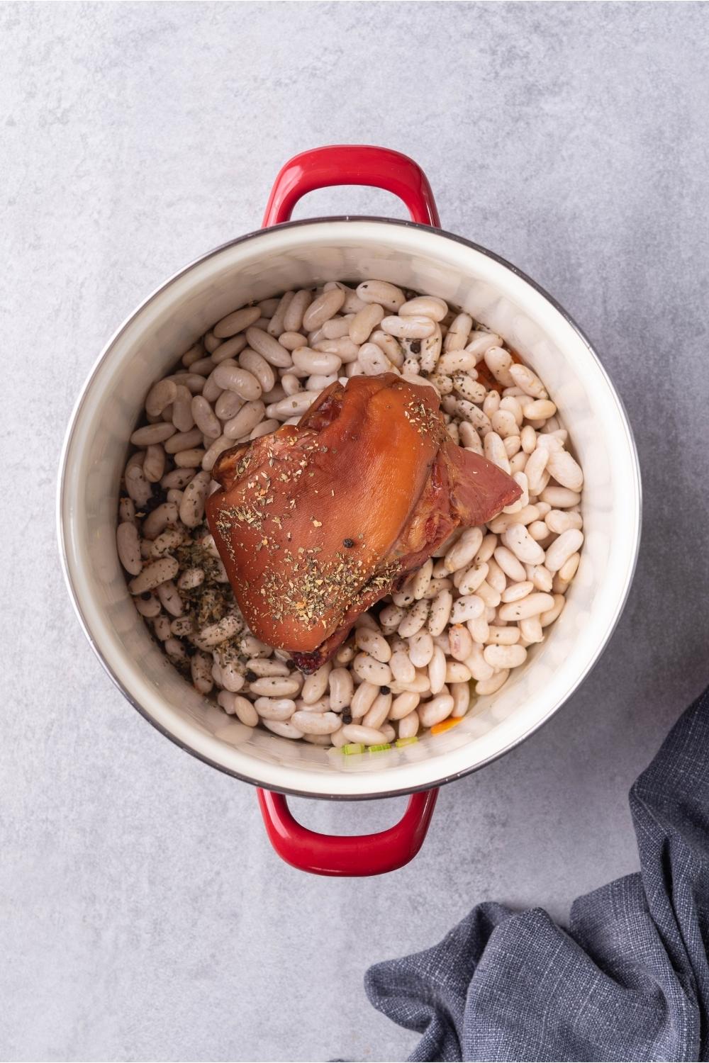 A soup pot with uncooked ham hock and uncooked navy beans in the pot.
