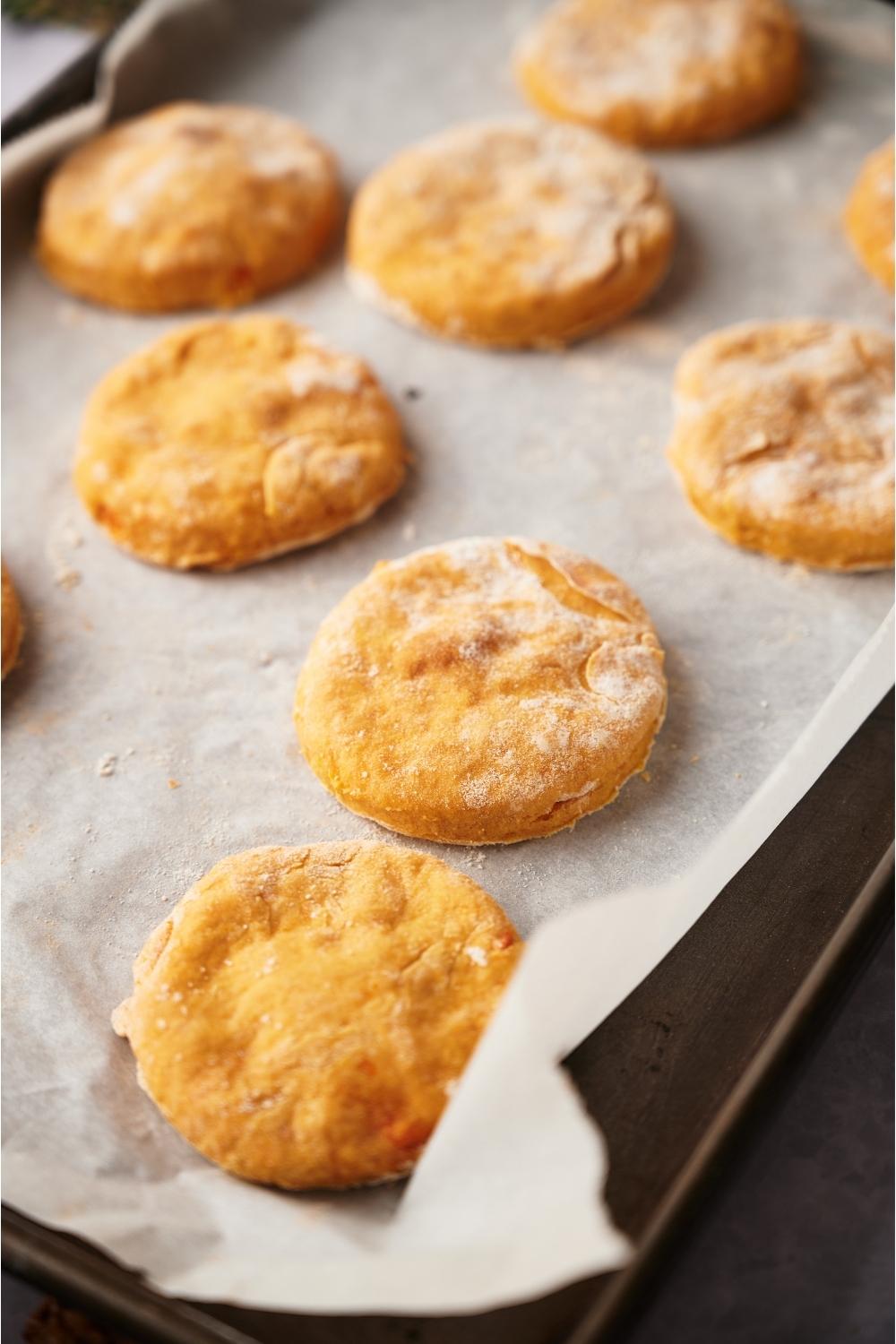 Sweet potato biscuits freshly baked on a baking sheet lined with parchment paper.