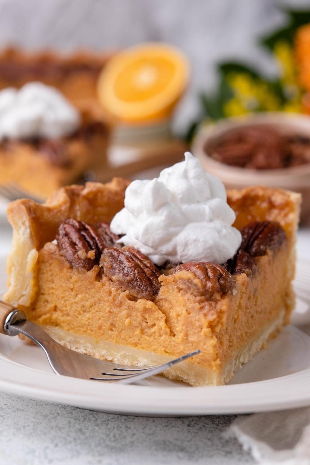 A slice of sweet potato pecan pie with whipped cream on top on a white plate with a fork in front of the slice of pie.