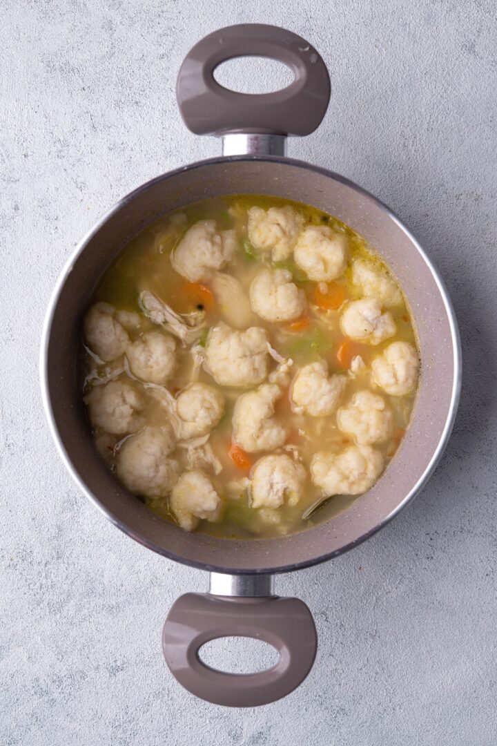 The BEST Easy Chicken and Dumpling Soup (Prepped In Just 10 Minutes)