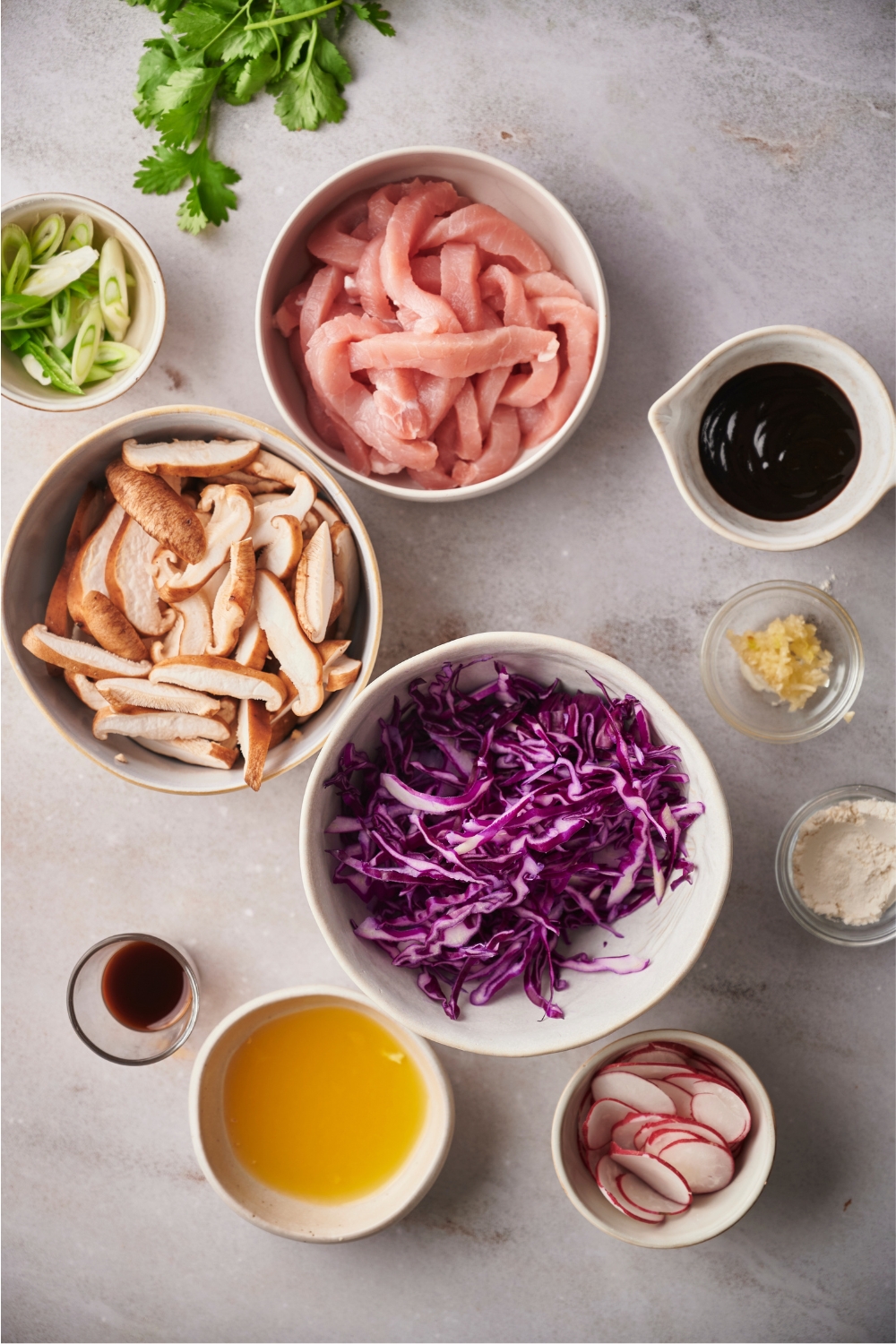 A bowl of sliced pork, a bowl of sliced mushrooms, a bowl of shredded purple cabbage, a bowl of radishes, and a bowl of broth all on a grey counter.