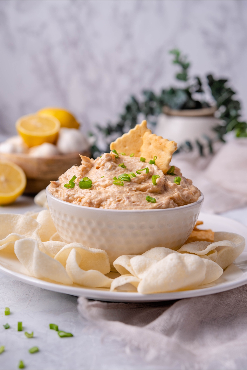 Smoked tuna dip in a white serving bowl garnished with chopped green onions and two crackers stuck in the dip. The bowl of dip is on a white plate and surrounded by chips.