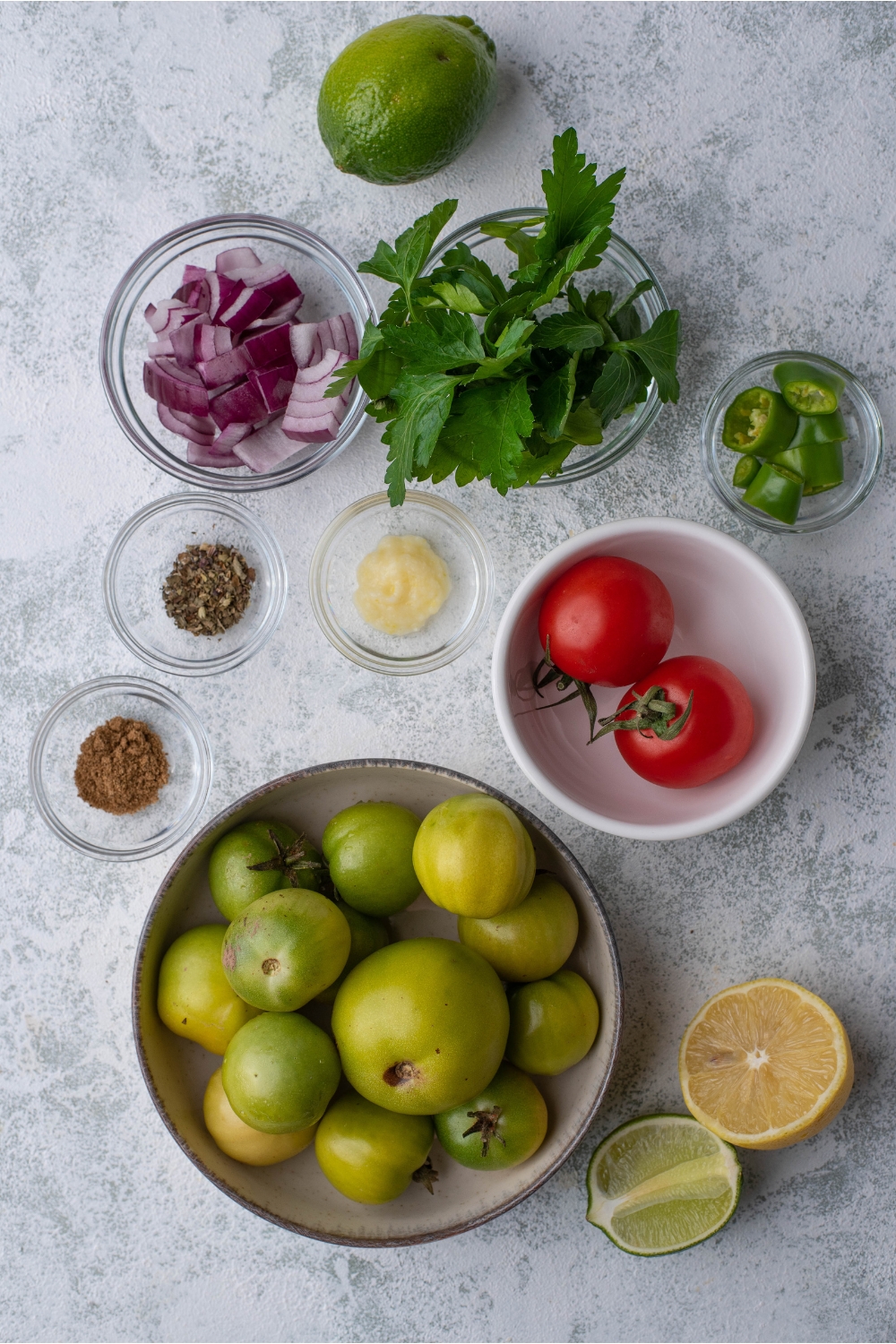 An assortment of ingredients including bowls of tomatillos and green tomatoes, a bowl of cherry tomatoes, diced red onion, sliced peppers, fresh cilantro, spices, and whole limes and lemons.