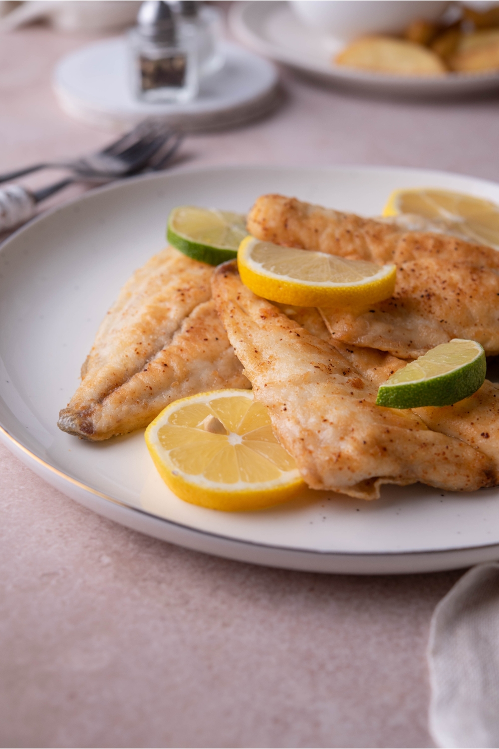 Two pan-fried tilapia fillets plated on top of each other, both garnished with fresh lemon and lime slices.