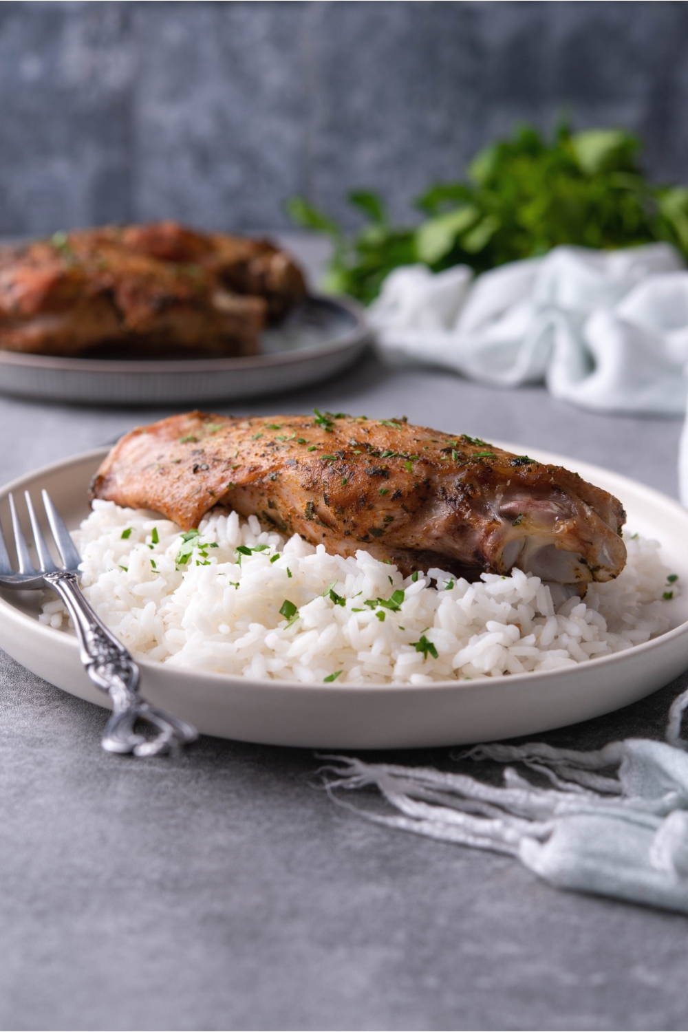 A turkey wing on top of white rice on a plate.