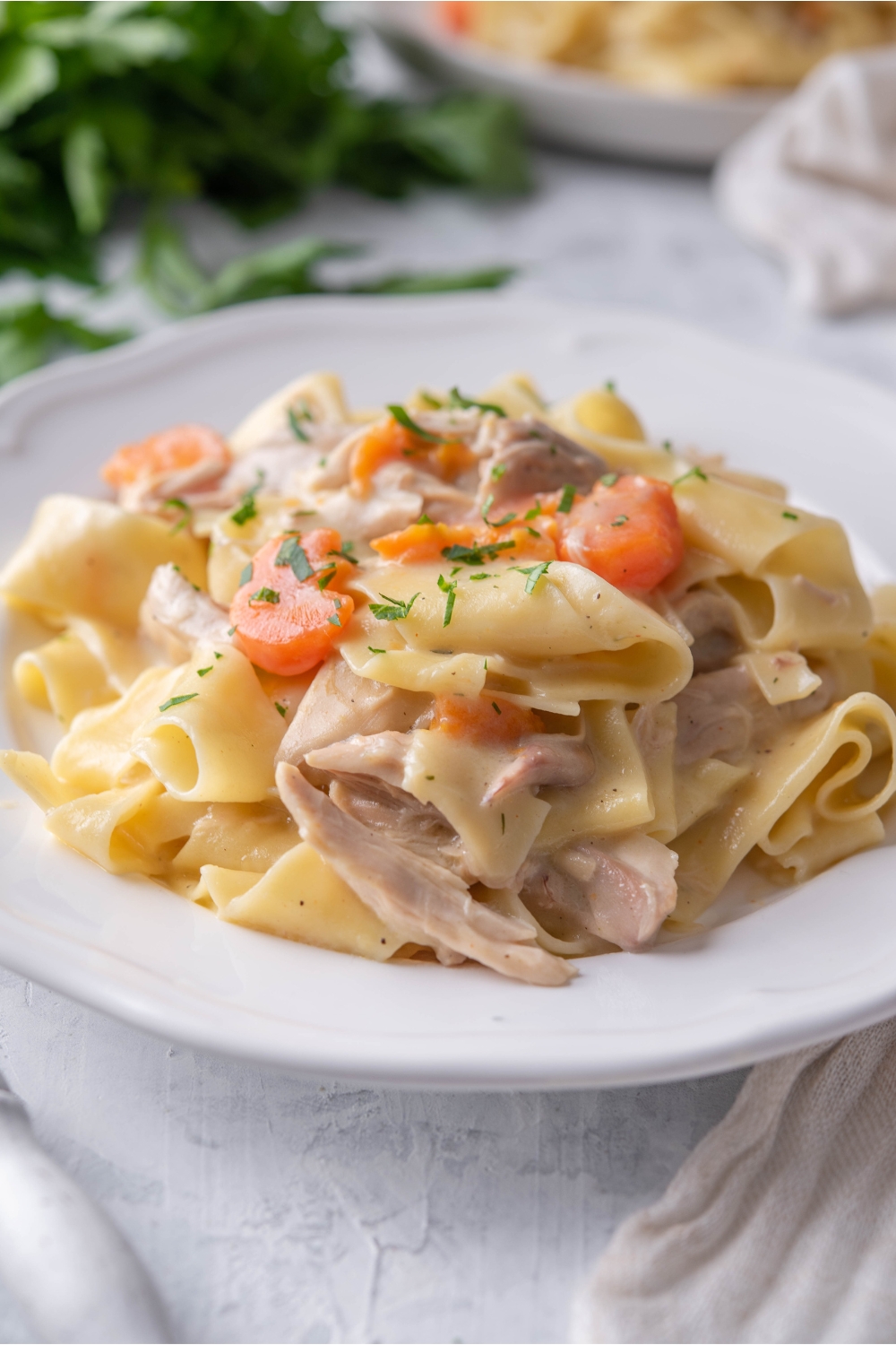 A plate of shredded chicken with egg noodles, carrots, and a garnish of fresh herbs.