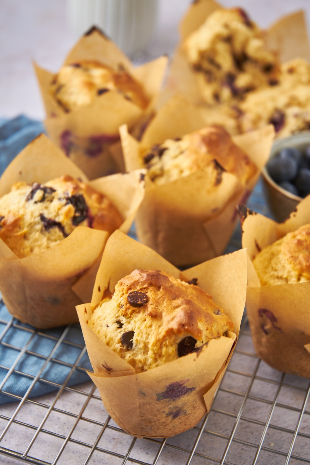 Chocolate chip blueberry muffins in muffin papers atop a wire rack.