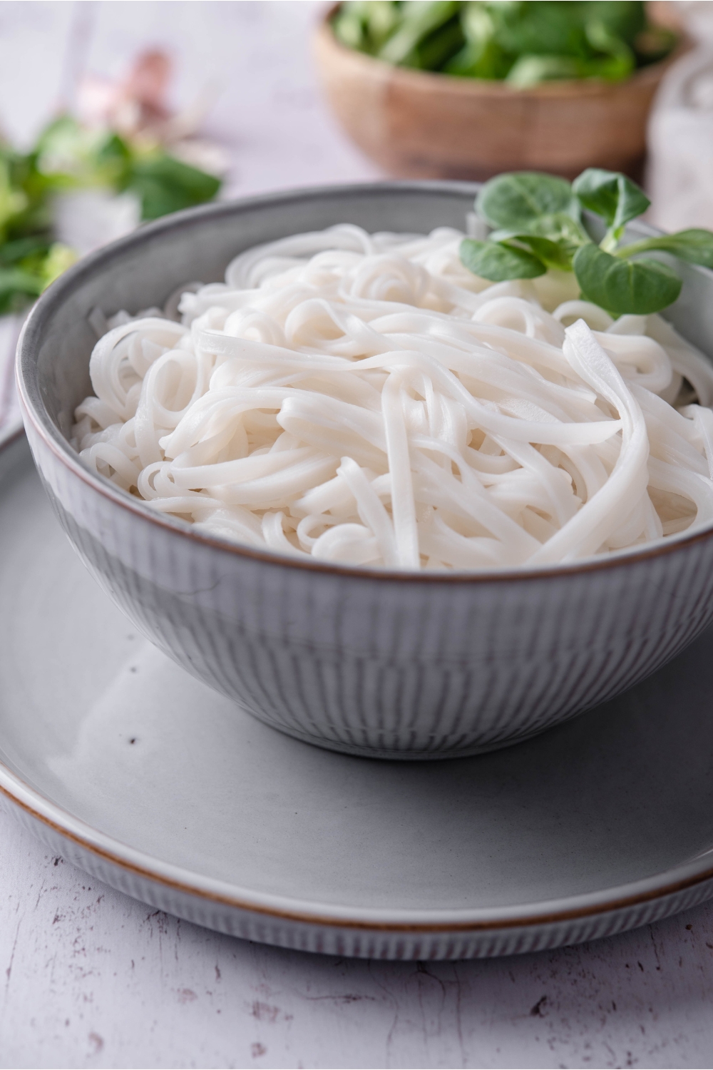 A bowl of cooked rice noodles atop a blue plate with a sprig of fresh green herbs in the bowl.