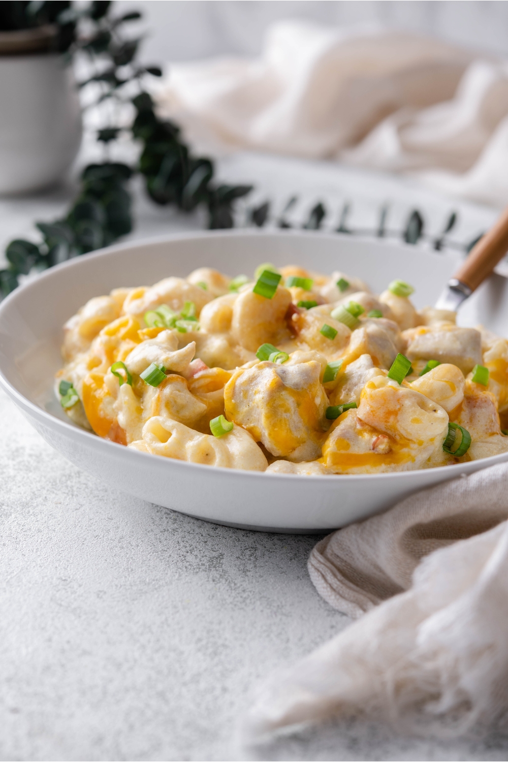 A bowl of chicken pasta casserole covered in cream sauce with melted cheddar cheese and chopped green onions. There is a fork in the bowl.