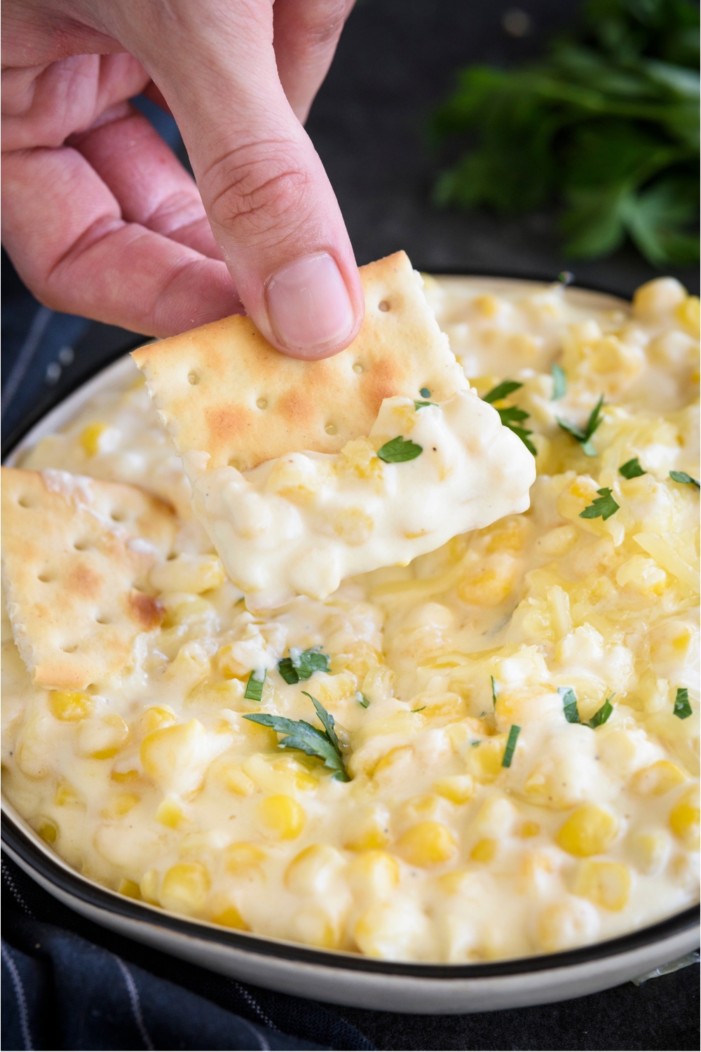 Close up of a cracker being dipped into a bowl of cream cheese corn garnished with parsley.