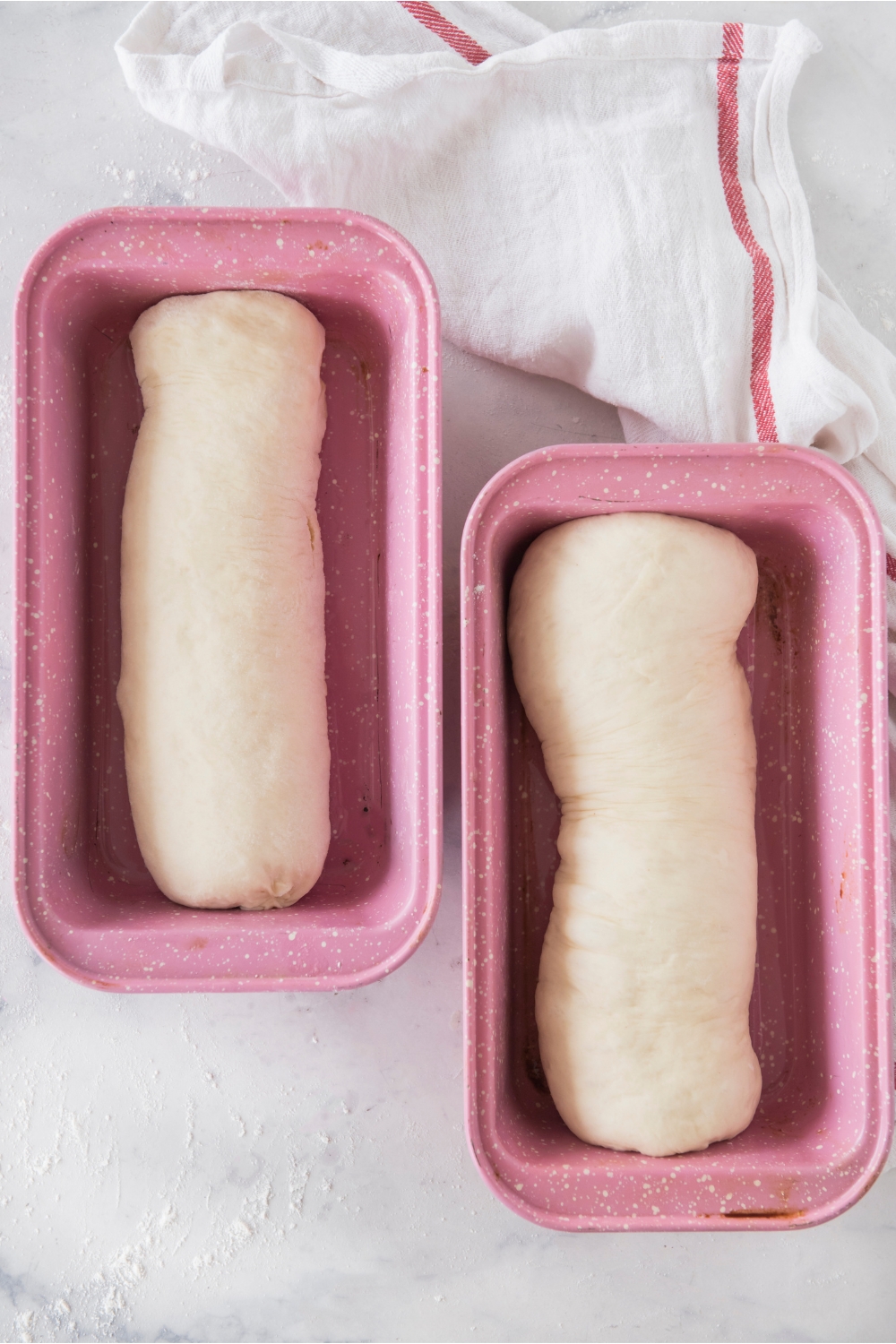 Two loaf pans with the tubular dough in it.