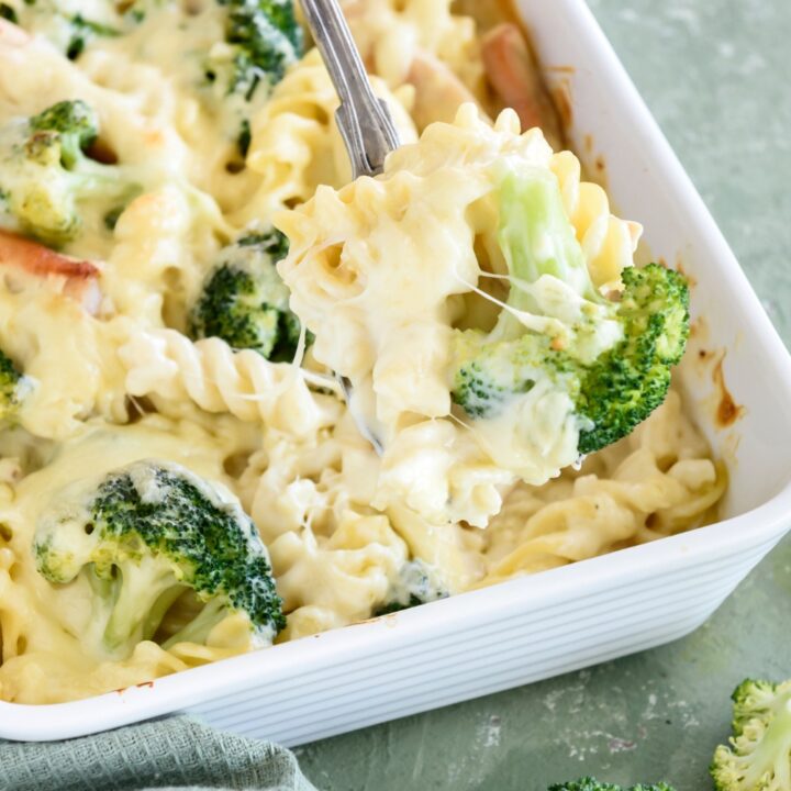 A spoonful of pasta covered in cream sauce with a broccoli floret.