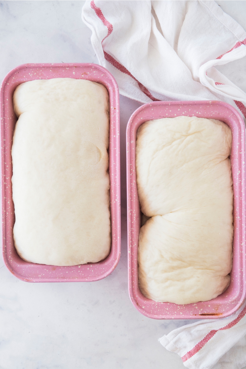 Two loaf pans with dough rising.