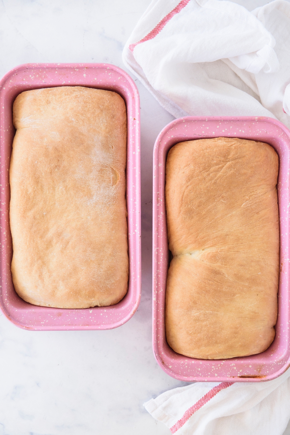 Two loaf pans with baked bread.