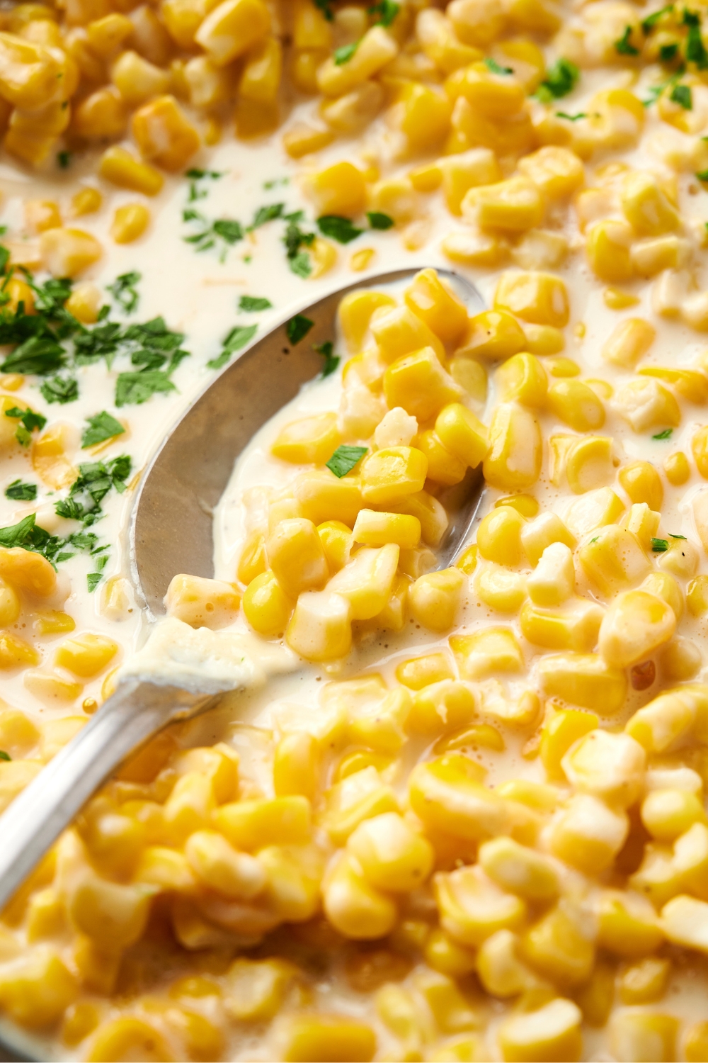 A silver spoon full of creamed corn garnished with fresh herbs.