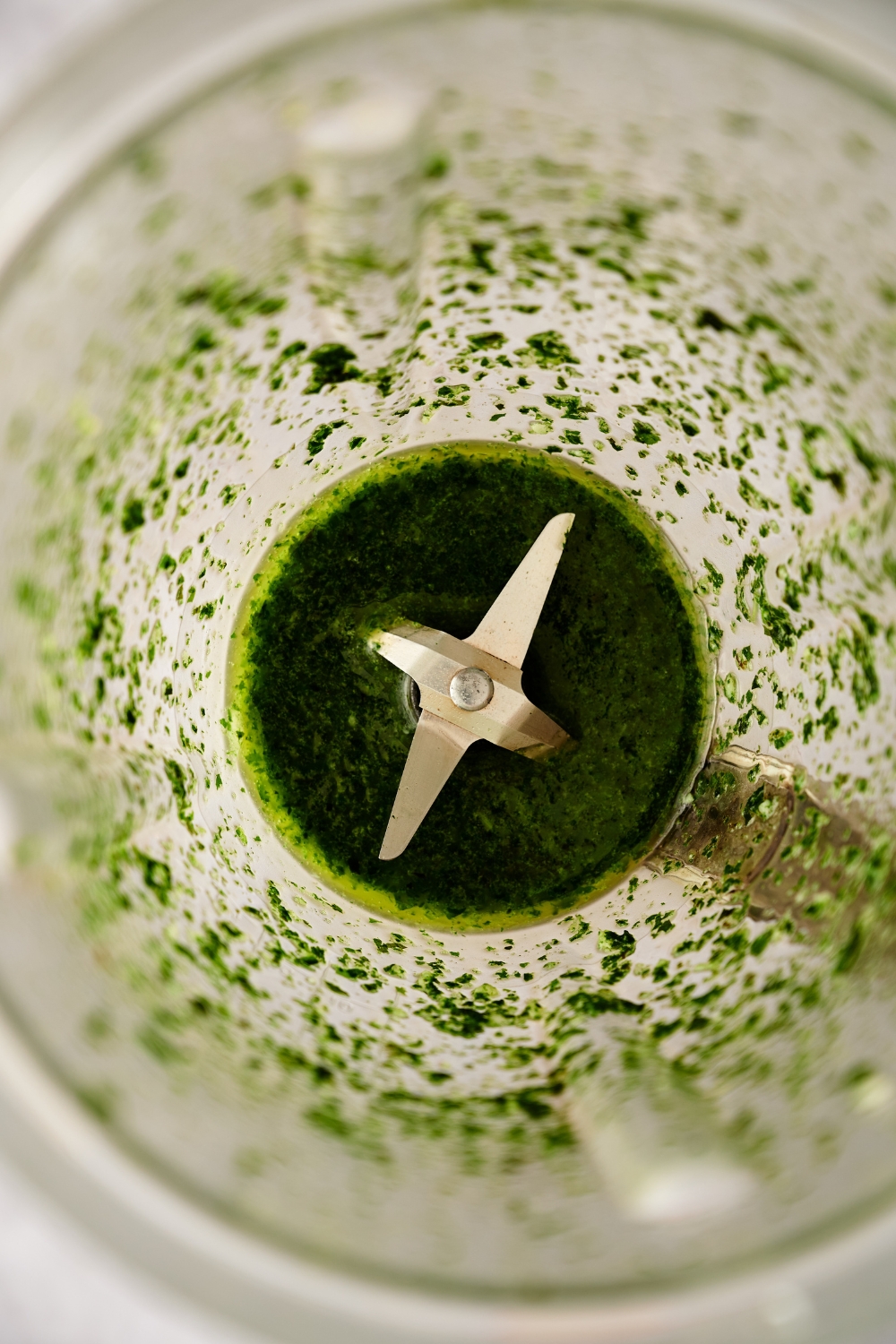 Fresh herbs, garlic, and olive oil are fully blended in a blender.