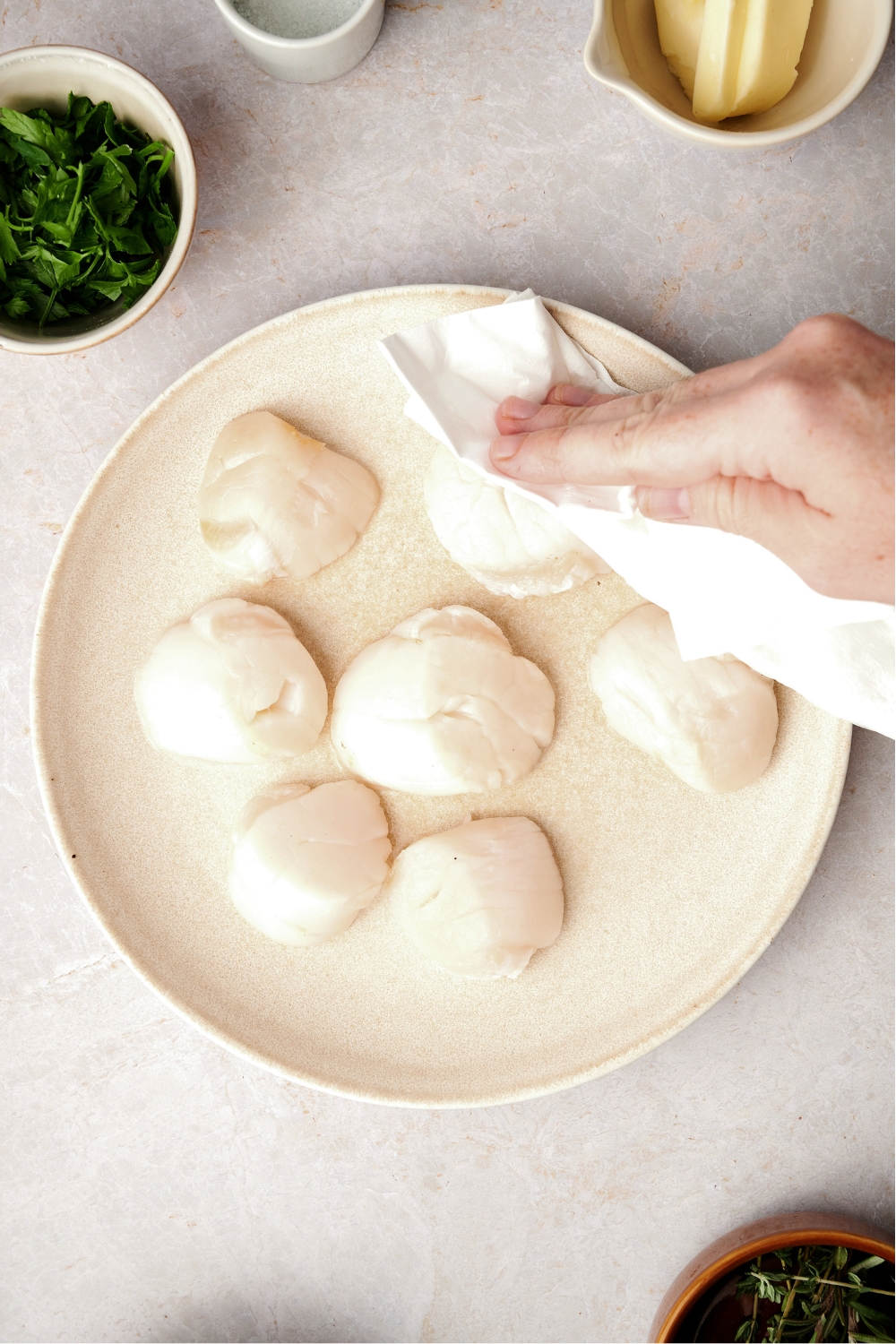 A hand patting scallops with a paper towel.