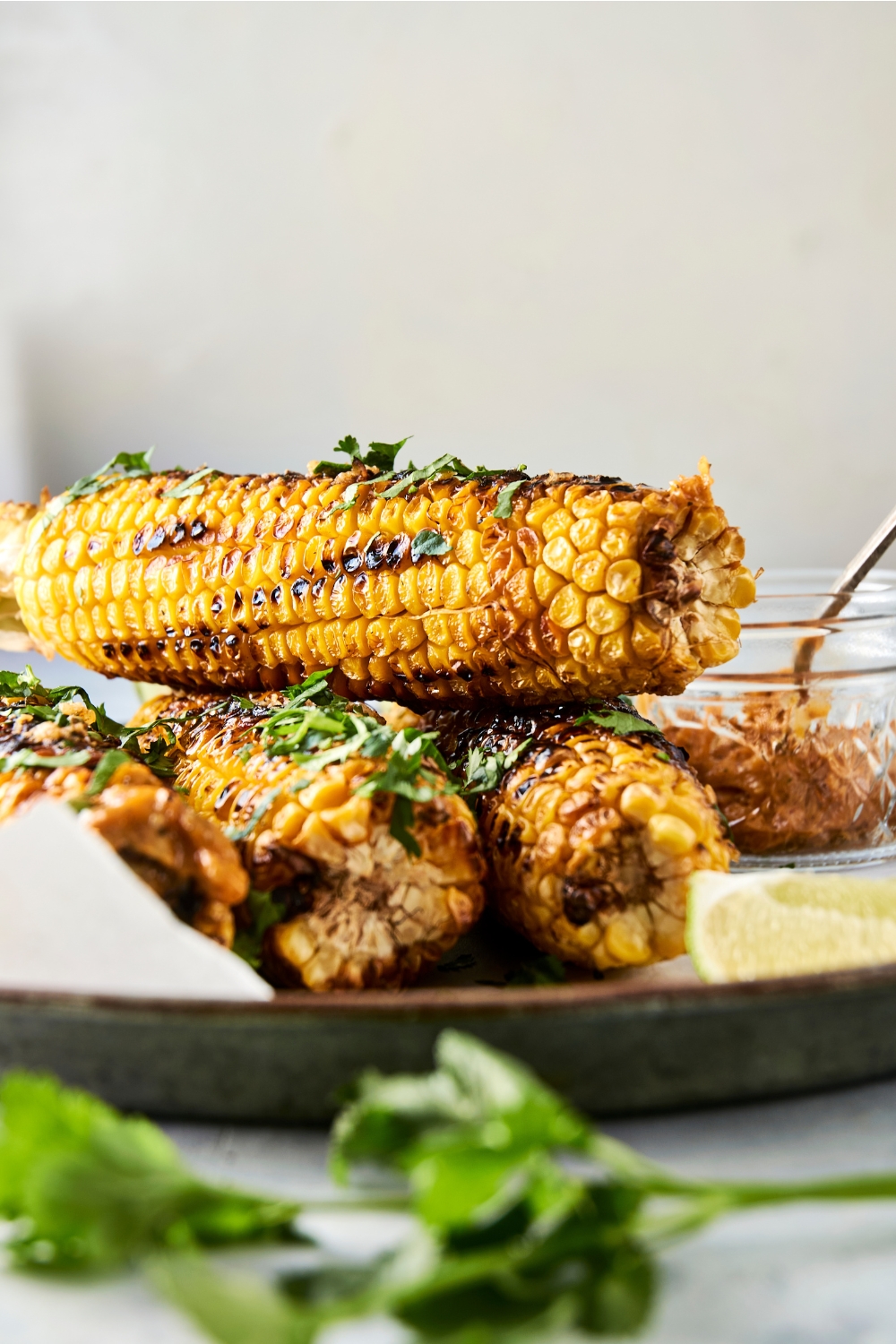 Four ears of corn are on a serving plate. They have been grilled and garnished with fresh cilantro.