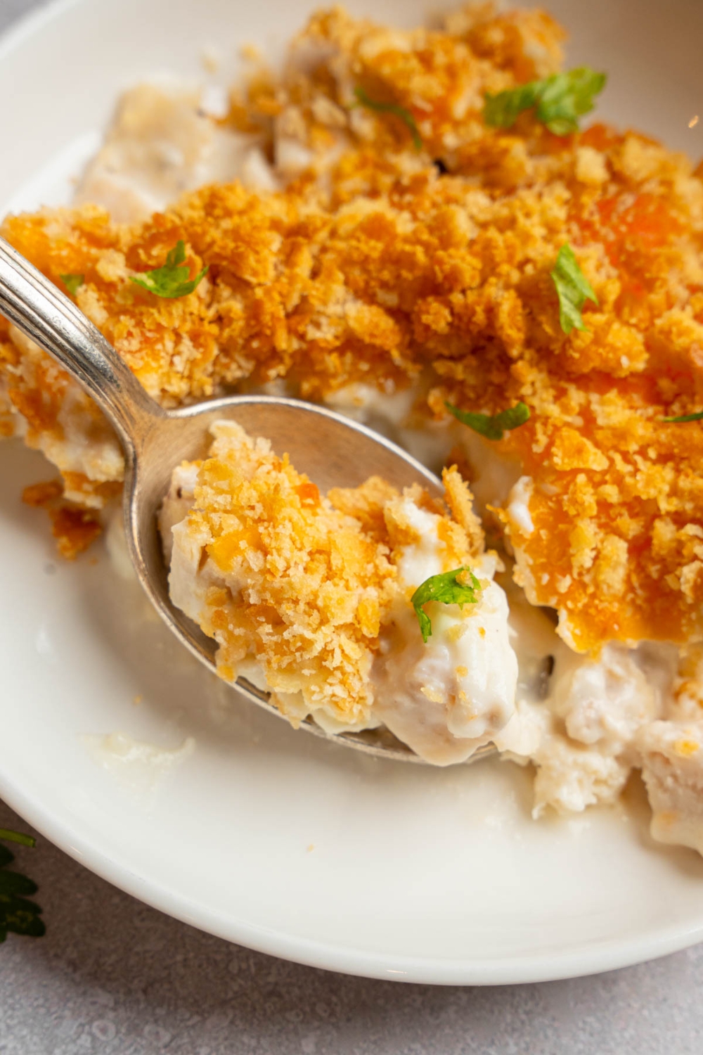 A plate of Neiman Marcus chicken casserole garnished with fresh parsley. A spoon is taking a bite of casserole.