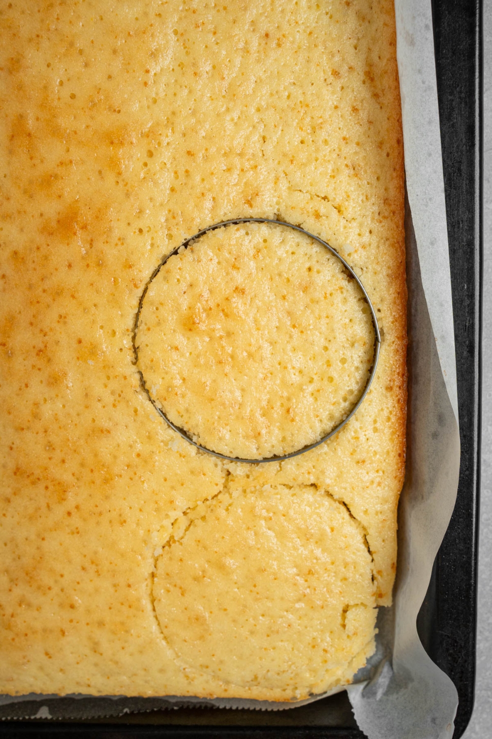 A sheet pan with baked vanilla cake lined with parchment paper. There is a round cookie cutter inserted in the cake.
