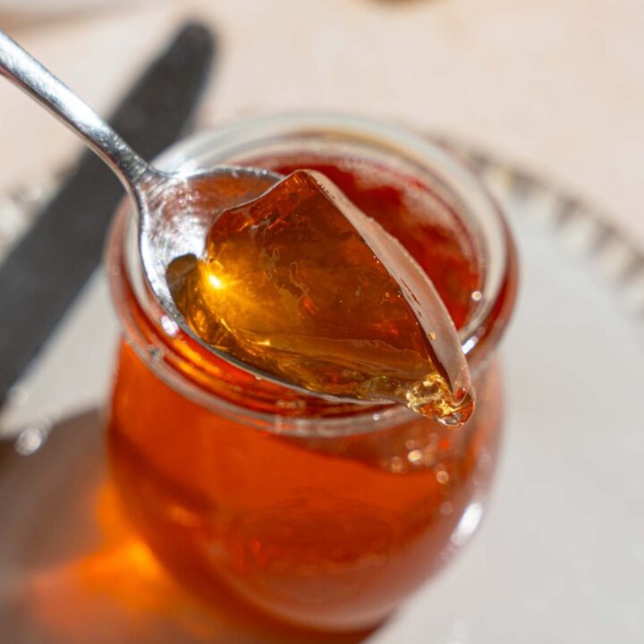 Homemade Apple Jelly Recipe (No Pectin Needed)