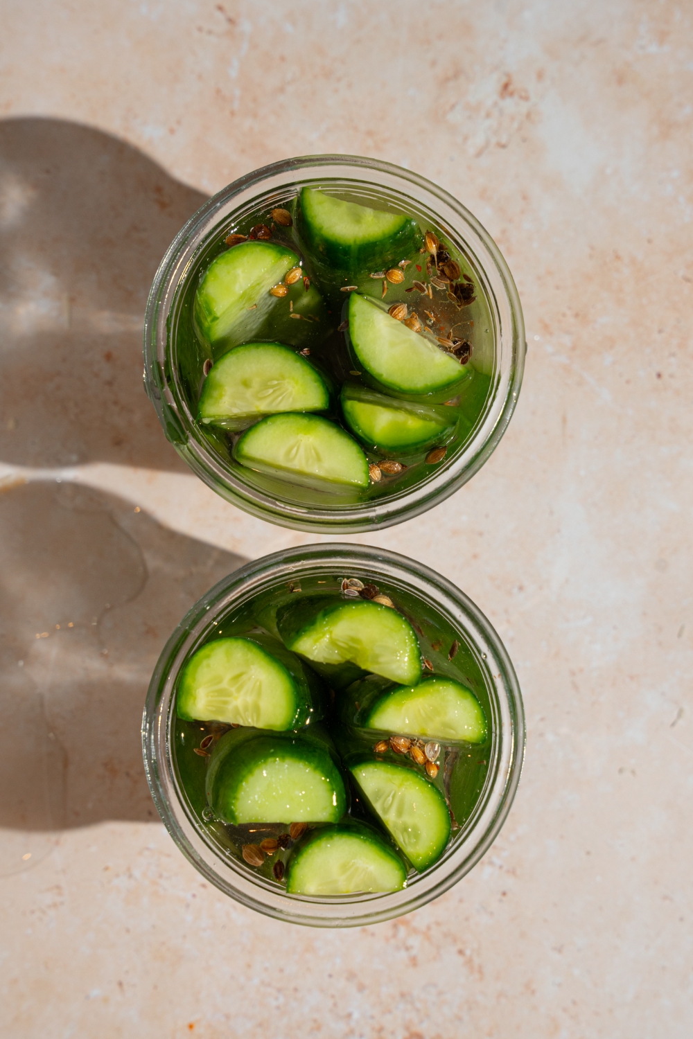 Two glass jars with medium pickling cucumber spears soaking in brine and picking seasonings. The jars are on a tan counter.