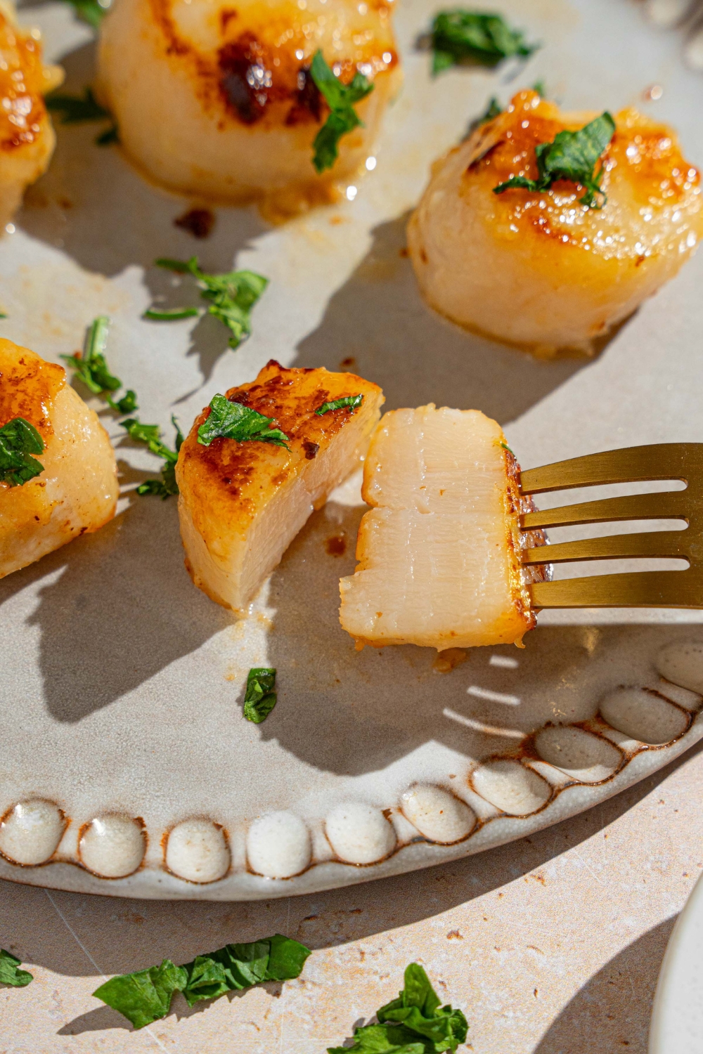 A ceramic plate with pan seared scallops garnished with fresh parsley. A fork is taking a half of a scallop.