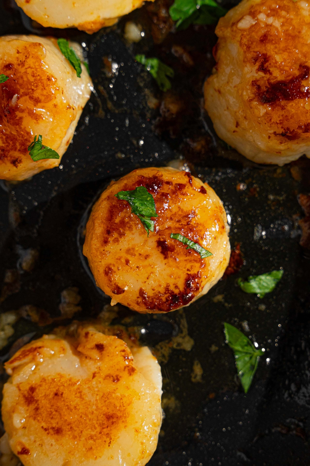 Pan seared scallops in a skillet with butter and garlic, garnished with fresh parsley.