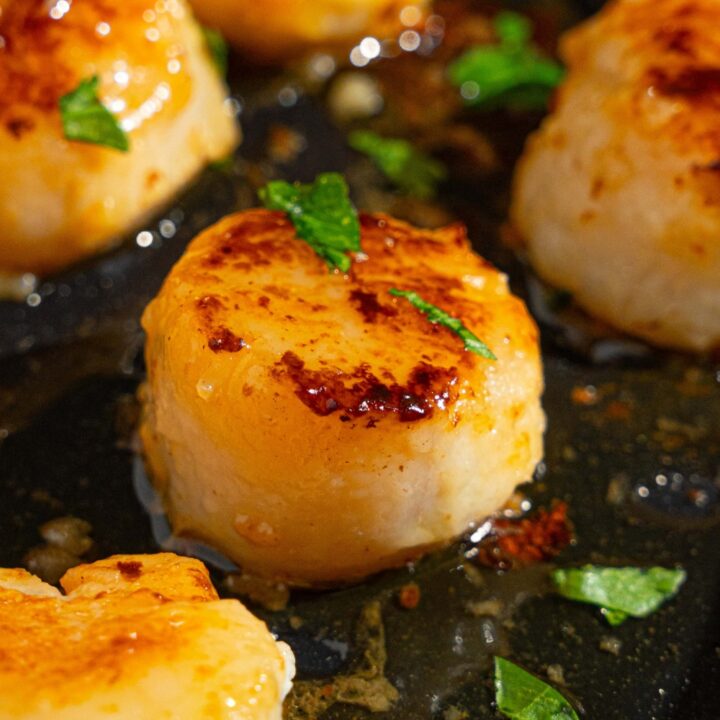 Pan seared scallops in a skillet with butter and garlic, garnished with fresh parsley.