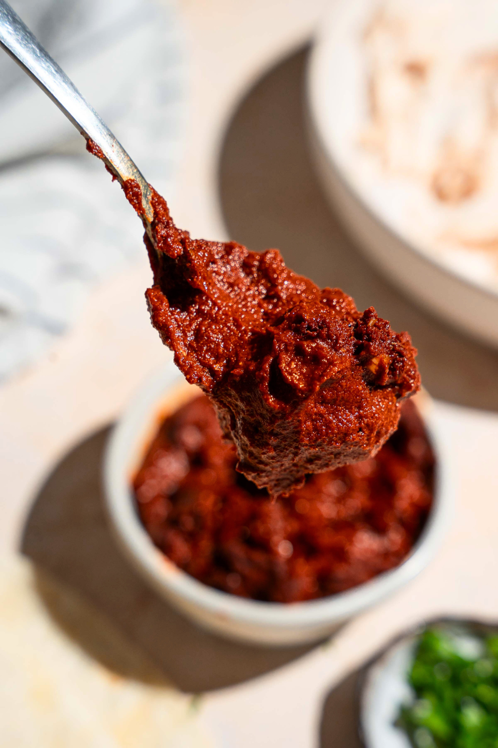 Adobo sauce on a spoon.