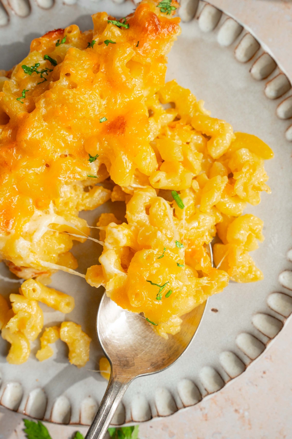 A plate with 3 cheese mac and cheese garnished with fresh parsley. A spoon is taking a bite of mac and cheese.