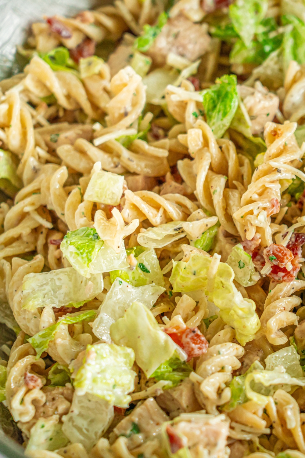 A white bowl of chicken caesar pasta salad topped with shredded parmesan cheese and croutons.