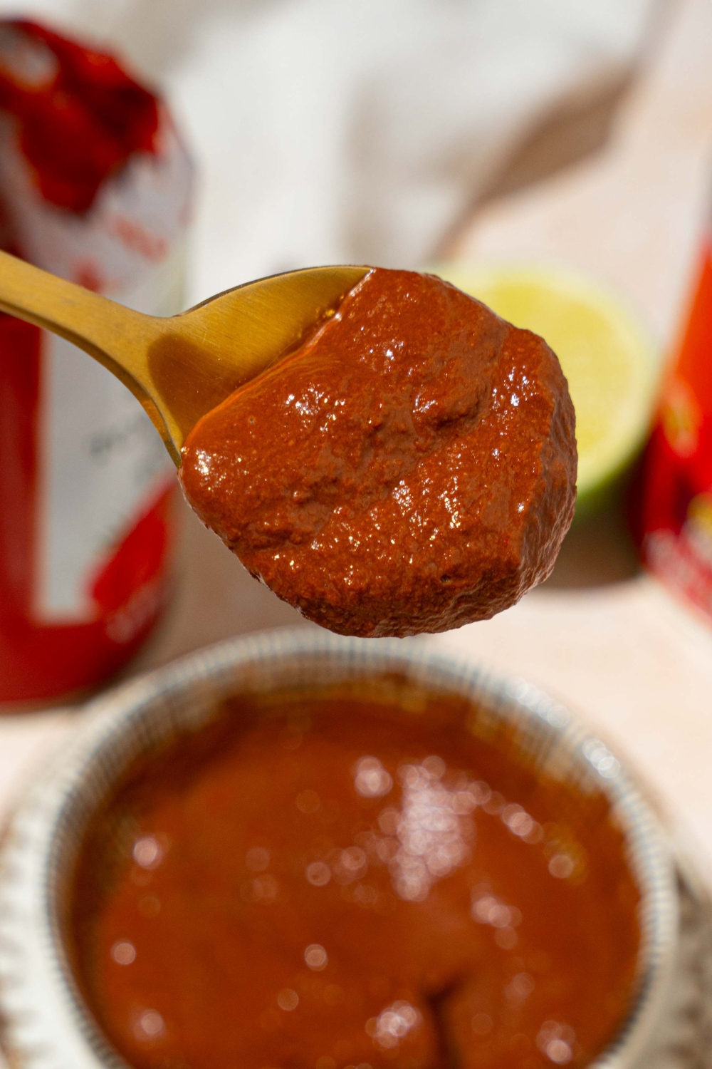A close up of a spoon dipped in Tex Mex paste. There is a bowl of paste on a small plate blurred in the background.