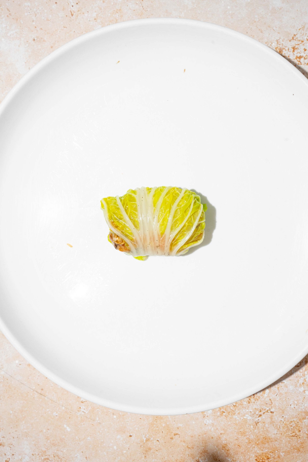 A white plate with a rolled cabbage dumpling. The plate is on a tan counter.