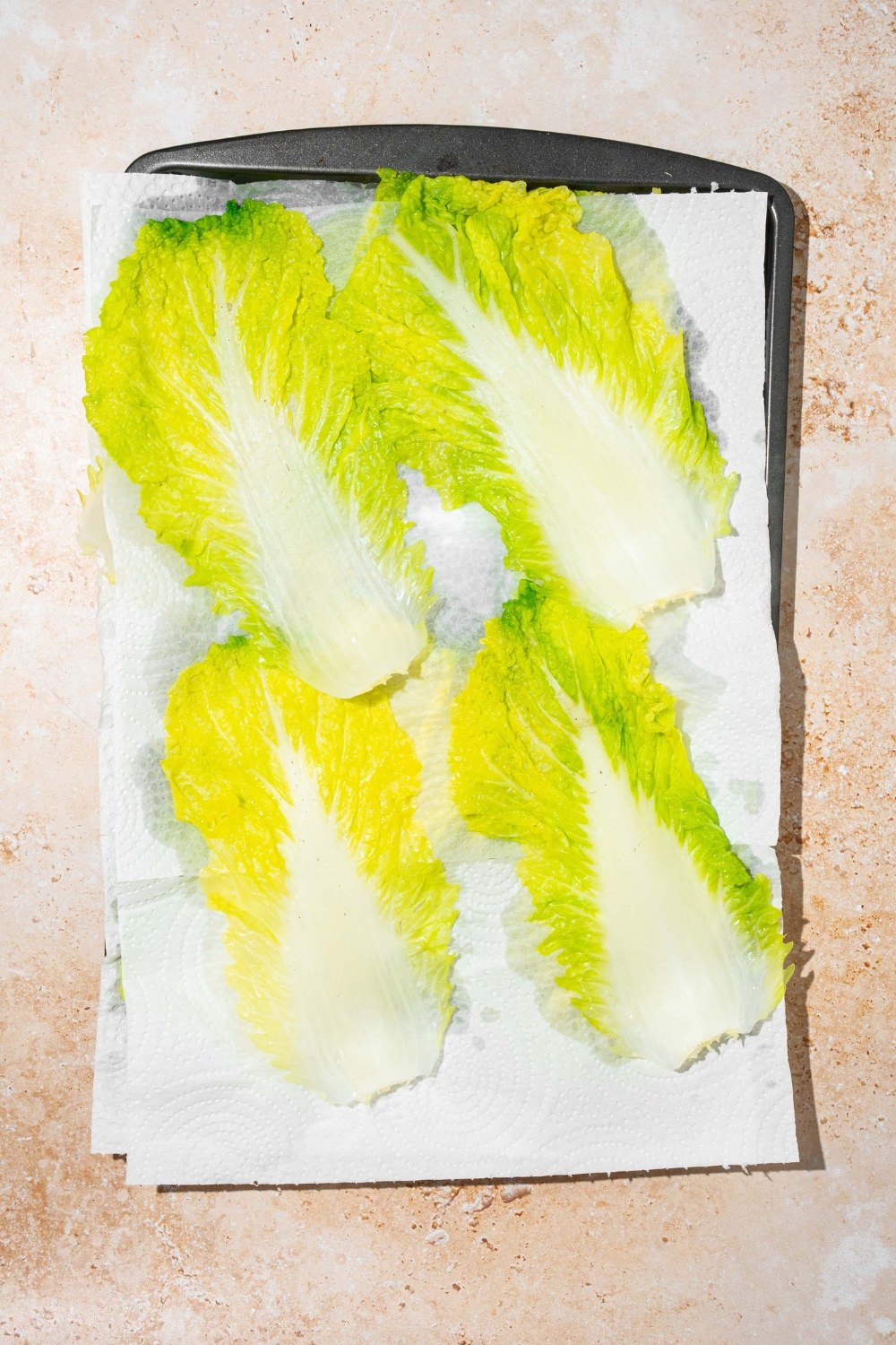 A baking sheet with cabbage leaves layered in between paper towels. The sheet is on a tan counter.