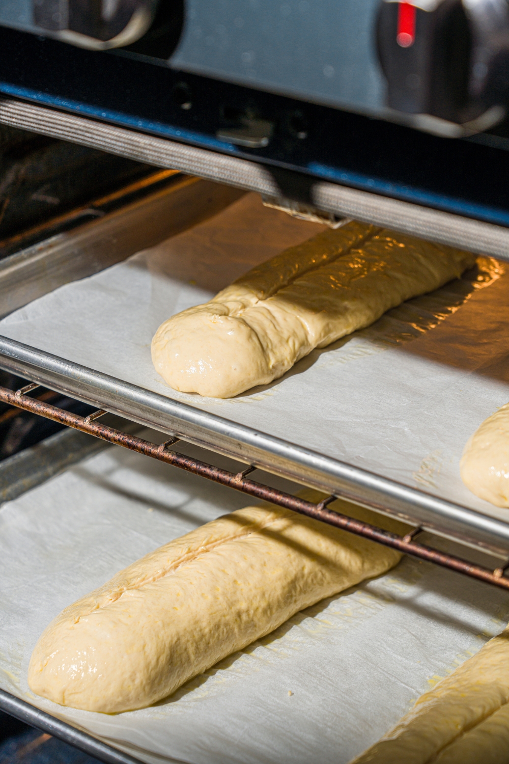 An oven with two baking sheets lined with parchment paper with unbaked homemade hoagie rolls.