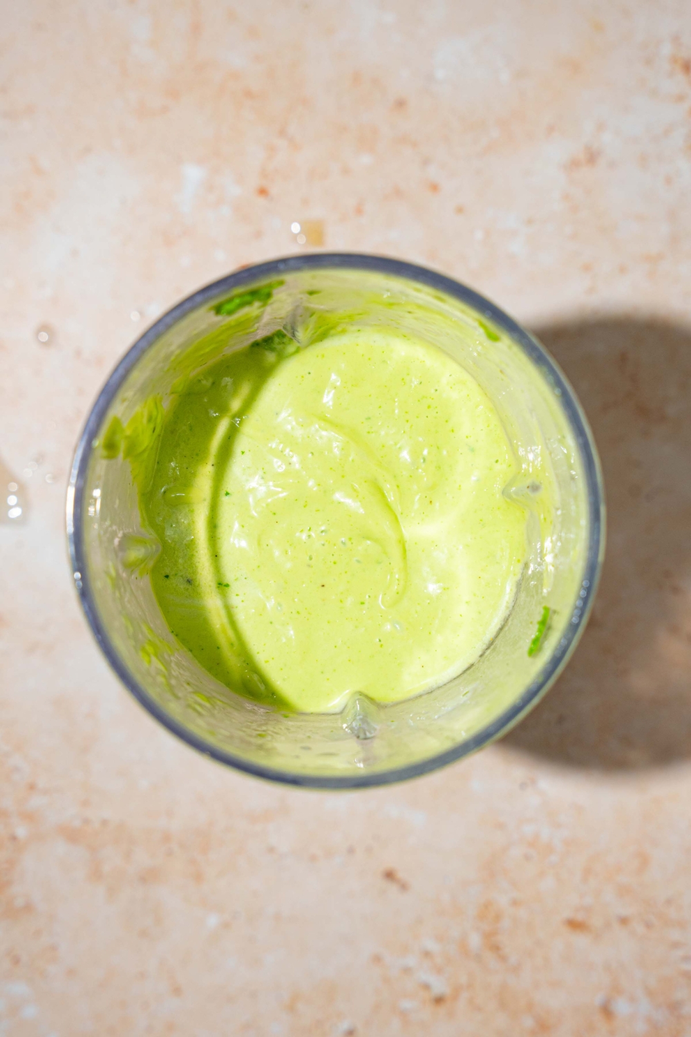 A blender with a blended fish taco sauce mixture.