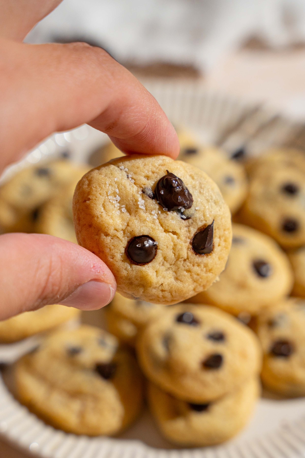 A close up of a hand holding a mini chocolate chip cookies. There is a plate of cookies blurred in the background.