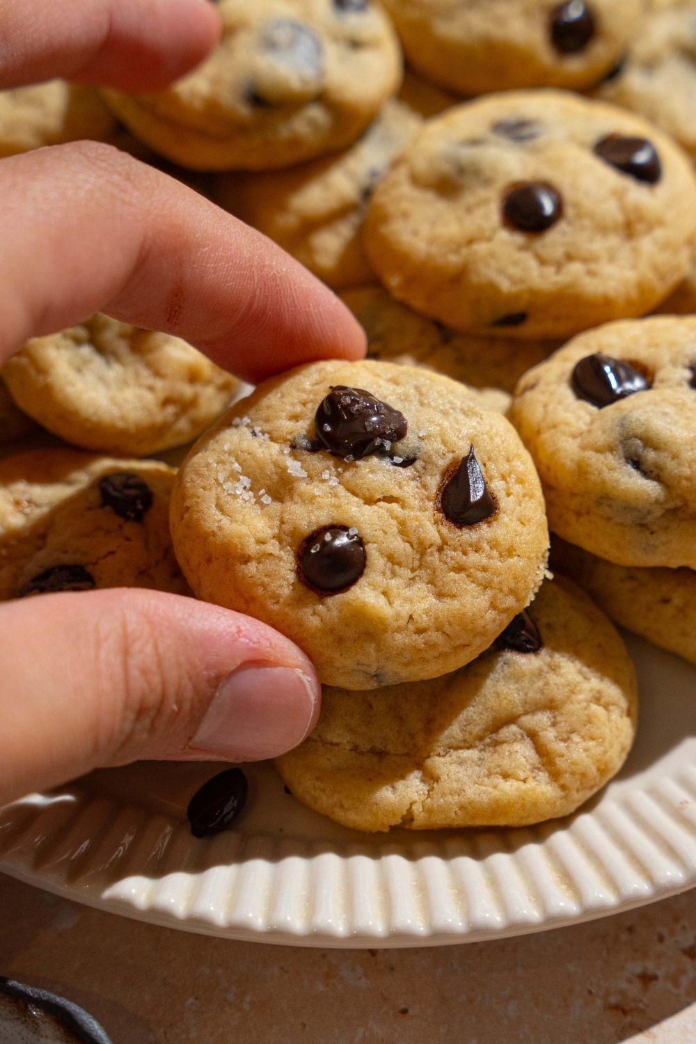 A plate of mini chocolate chip cookies. A hand is taking one of the cookies from the plate.