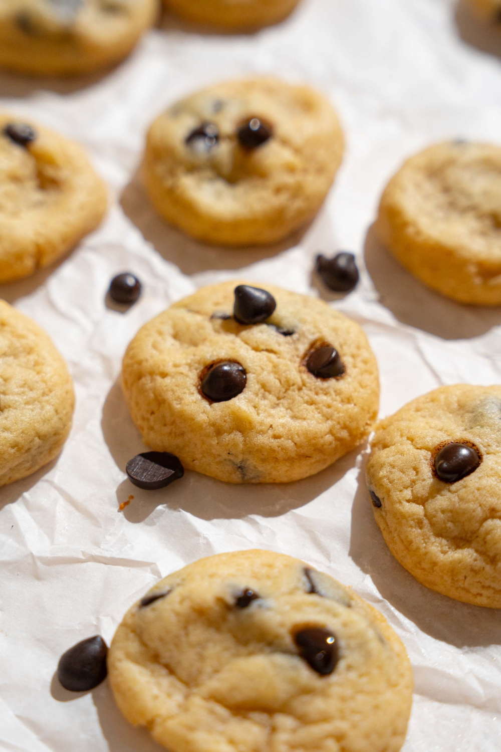 Parchment paper with mini chocolate chip cookies. The paper is garnished with chocolate chips.